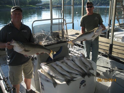 Nice Striped Bass